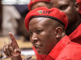 Jeffrey Miron is director of economic studies at the Cato Institute and the  director of undergraduate studies in the Department of Economics at Harvard  University." Could anyone explain me what is