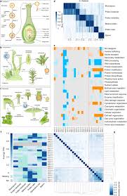 Comparative Transcriptomic Analysis Reveals Conserved Programmes Underpinning Organogenesis And Reproduction In Land Plants Nature Plants