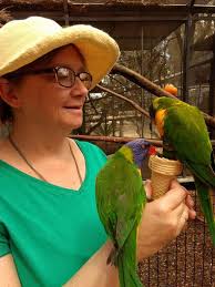 My young beautiful collared lory-family in moving pictures :)