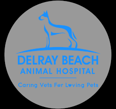 Check spelling or type a new query. Delray Beach Animal Hospital L Veterinarian Delray Beach Fl Boca Raton Fl Boynton Beach Fl Lake Worth Fl