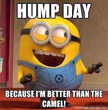 What day is it colin? Hump Day Because Im Better Than The The Camel Meme Memezila Com