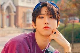 He is among the members who are fluent in english, aside from that he has also lived and. Stray Kids Member Han Complete Profile Facts And Tmi