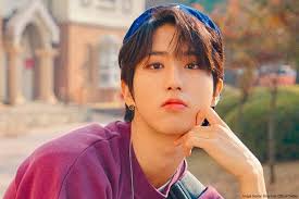 Stray Kids Member Han Complete Profile Facts And Tmi