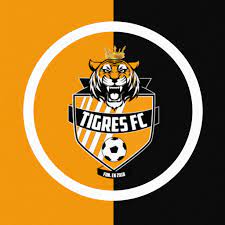 The domain arenavisiontv.es may be for sale. Tigres Fc Home Facebook