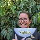 Young Territory Author Awards: Create Your Story Workshop