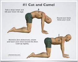 The camel pose or ustrasana is an intermediate level kneeling backbend yoga pose. Exercises For Low Back Pain Detailed Easy To Follow Illustrations