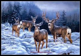 A counted cross stitch pattern should include an estimated completed size. Buy Needlework Craft Full Embroidery Diy French Dmc Quality Counted Cross Stitch Kit 14 Ct Oil Painting Snow Deer Online Cheap Goolubuy