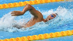 May 13, 2021 · gregorio paltrinieri stayed with the shoal, never too far from contention but always seeking to steer clear of the bash and splash of the shoal, until just over an hour 40 minutes into the european 10km marathon title race at budapest's lupa beach; Nuoto Europei Italia D Argento Con Paltrinieri Miressi Burdisso E Castiglione Pellegrini In Finale Nei 200 Sl La Repubblica