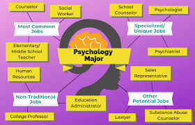 12 Jobs For Psychology Majors The University Network Psychology Major Psychology Careers Psychology