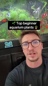 Let's do a water change together! #fishcare #homeaquarium #plantedtank...