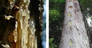 Check spelling or type a new query. About Us Isg International