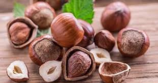 La Noisette Fruits D Automne Alimentation Fruits
