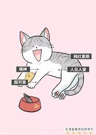 bat总监 北大学霸 富二代留学生 还需要努力吗 comics character fictional characters