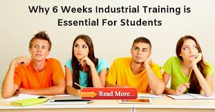 This could be welding, metal working, carpentry, roofing, and other various blue collar trades. The Ultimate Guide To Industrial Training Program With Benefits Scope