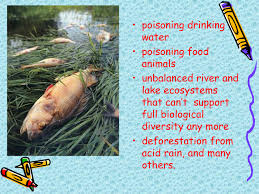 Water Pollution Powerpoint Slides
