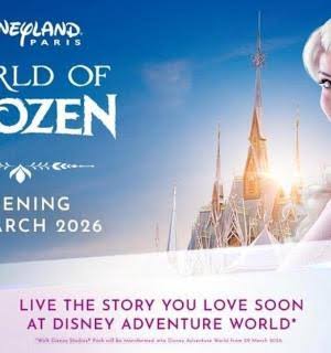 Disneyland® Parijs 1 dag met retourtreintickets vanuit Parijs