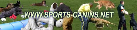 Maybe you would like to learn more about one of these? Repertoire Des Clubs Canins