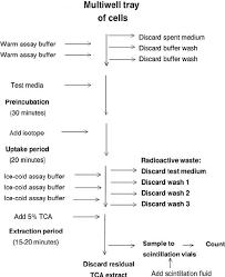 Membrane Transport Bismi Margarethaydon Com