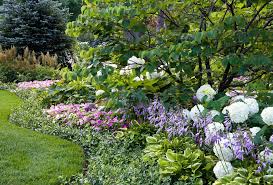Hydrangea landscaping hydrangea garden hydrangea macrophylla peonies garden front yard landscape walkway for the shade. Pink Blue And White Blooms Van Zelst