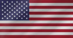 Download The United States Flag Vector Country Flags