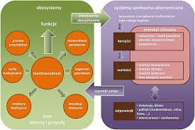 Usługi ekosystemowe w zarządzaniu układami przyrodniczymi
