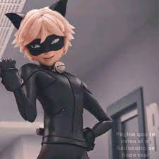 Pin By Sarahi Gonzalez On Miraculos Chat Noir Aesthetic Cat Noir Icons Miraculous Matching Icons
