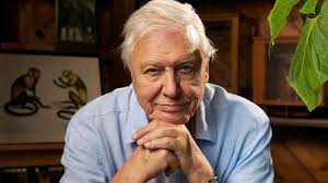 A subreddit for discussing anything about sir david attenborough. Blue Planet Ii Shows Heartbreaking Toll Of Plastic Pollution