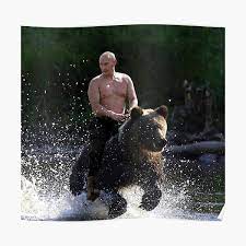 .bear president putin on horse putin without a shirt people riding bears art woman riding bear vladimir putin polar bear vladimir putin daughters putin flying vladimir putin tracksuit putin. Vladimir Putin Posters Redbubble