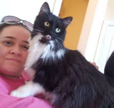 Adorable little kitten named Honey 2 🥰🥰🥰