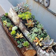 The most common wood log planter material is metal. Log Planters Fascinating Diy Ideas Balcony Decoration Eco Friendly Garden Ideas