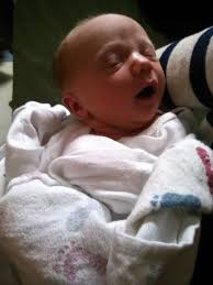 Cade Cozzolino (@cozz56)