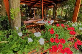 Beautiful floral background, top view. If You Love Flowers We Have The Most Beautiful Garden With Lots Of Different Flowers Picture Of Dva Elena Skopje Tripadvisor