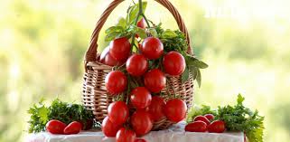 Image result for tomato Piccadilly