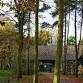 Hanningfield Talk: Rewilding in the UK event image