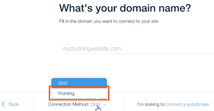 Connecting A Domain Name Registered With Sibername To Wix Using Pointing