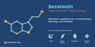 Image result for Serotonin