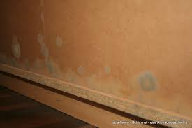 Aber wie entsteht schimmel überhaupt im kühlschrank und wie wird man ihn wieder los? Schimmelsanierung Pravention Radia Therm Genial Einfach Einfach Genial