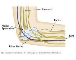 Subscribe to learn interesting facts about the human body every day. Cubital Tunnel Syndrome What S That Brandon P Donnelly Md