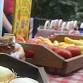 Spring Farm Fest