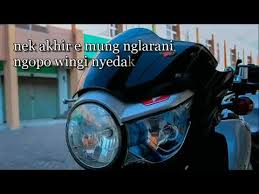 Tiger woods is regarded as one of the best and highest paid golfer's of all time. Quotes Tiger Baper Youtube
