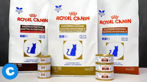 Some researchers argue that, in nature, wild cats did not eat any plant protein to carbohydrate ratio: Royal Canin Veterinary Diet Gastrointestinal Formulas For Felines Youtube