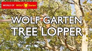 In addition, a decaying splash dam exists near the. How To Use The Wolf Garten Multi Change Tree Lopper Cord Tidy Zmv4 Rcvm Zsm Youtube
