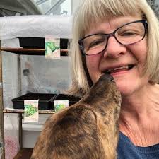 Readers reveal their greatest achievement while stuck at home in  coronavirus lockdown