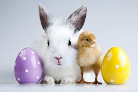 Plus, they tend to lighten the mood and make people smile. 50 Easter Trivia Questions And Answers Easter Facts 2021 Edition