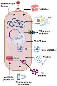 Image result for Extended Spectrum Macrolide