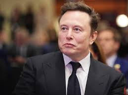 DOGE under Musk unites Trumpworld vets with tech industry giants