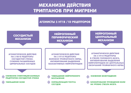 undefinedМигрень</strong> – одно из самых распространенных неврологических заболеваний, которое может серьезно нарушить качество жизни человека. На протяжении веков мигрень считалась непоправимым недугом, но современная медицина предлагает эффективные методы борьбы с этим заболеванием. Однако лечение мигрени – долгосрочный процесс, требующий терпения и систематичности.»></p><p>Долговременность лечения мигрени обусловлена ее хроническим характером. Мигрень может настолько продолжительно преследовать пациента, что становится неотъемлемой частью его жизни. И хотя длительность и частота приступов мигрени у разных людей могут существенно различаться, общая тенденция заключается в том, что лечение мигрени является долгосрочным процессом.</p><p><img decoding=
