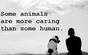 Famous English Quotes Animal Quotes Cute Animal Quotes Short Inspirational Quotes