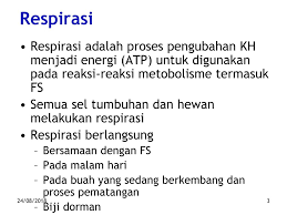 Maybe you would like to learn more about one of these? Respirasi Energi Dihasilkan Dalam Bentuk Atp Yang Digunakan Untuk Pemeliharaan Dan Perkembangan Tumbuhan 24 08 Ppt Download