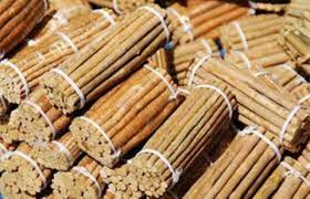 Mengganti Kayu Siwak Dengan Sikat Dan Pasta Gigi